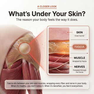 TrueForm™ Fascial Release Support